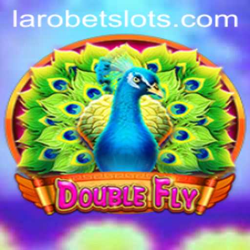 Discovering DoubleFly: An In-Depth Look at an Innovative Adventure
